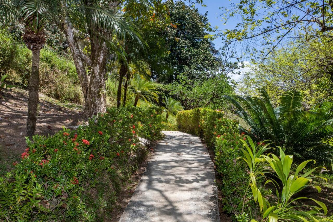 Tiki Villas Rainforest Lodge - Adults Only 乌维塔 外观 照片
